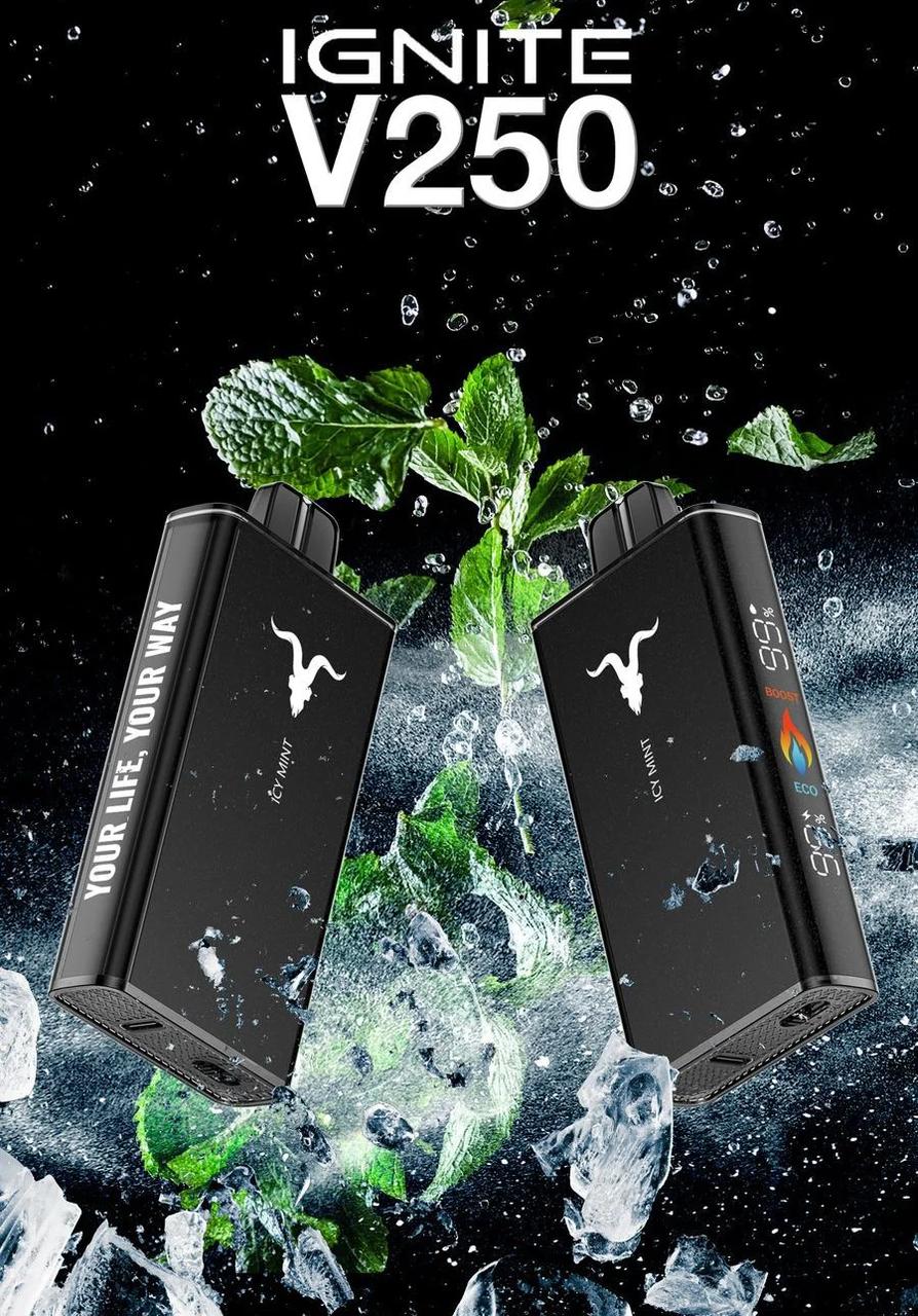 IGNITE AVAILABLE IN DUBAI V250