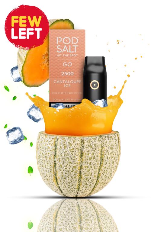 POD SALT Go Disposable 2500 Puffs | Vape king Emirates |