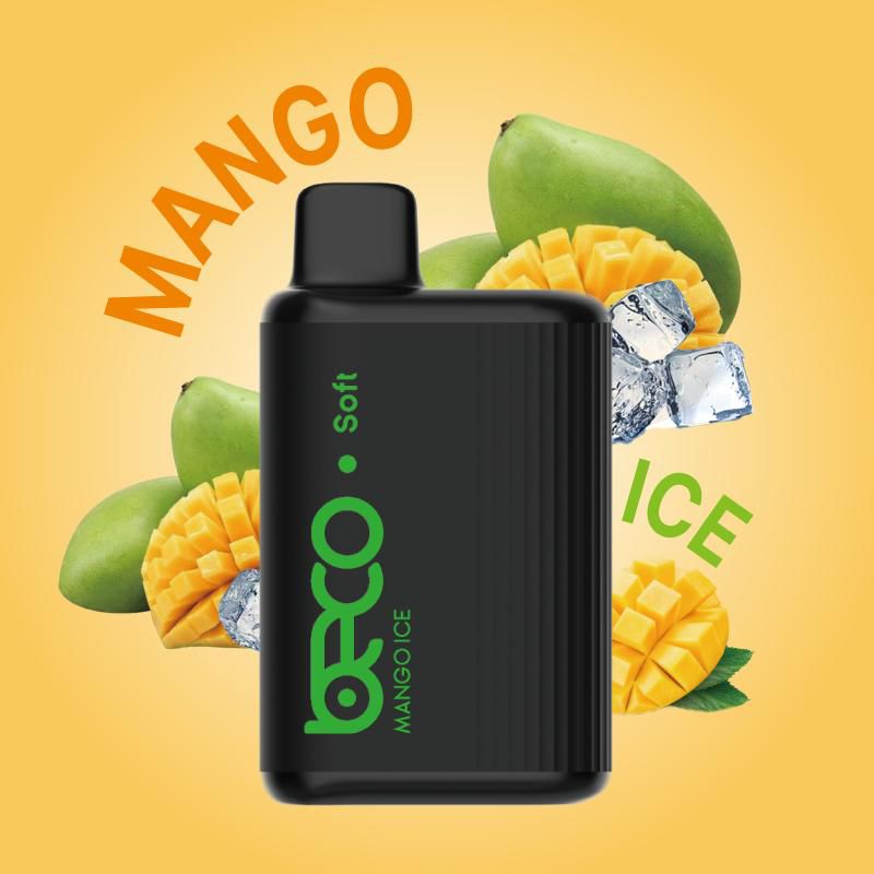 Beco Soft 6000 Puffs Disposable Vape in UAE