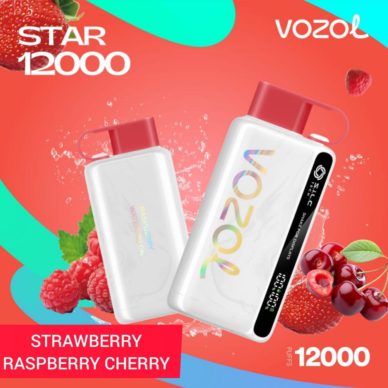 Vozol Star 12000 Puffs Disposable Vape in UAE