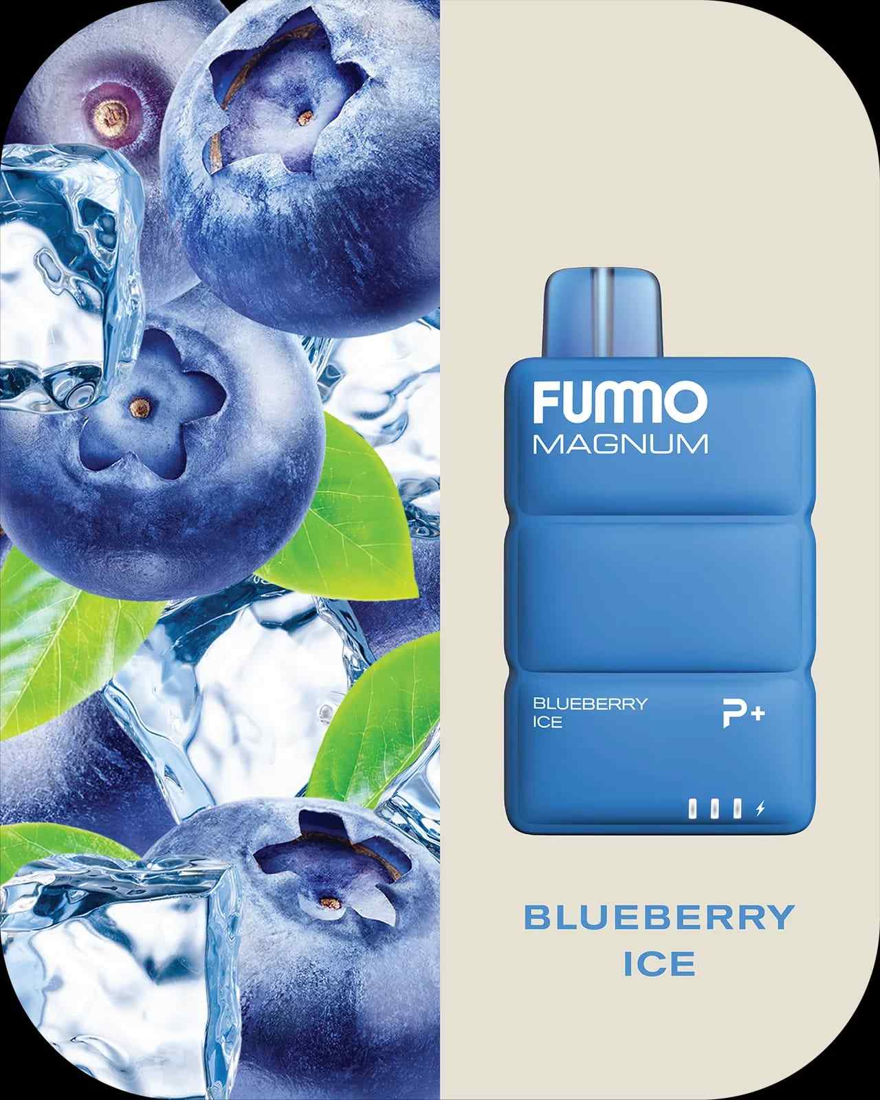 FUMMO Magnum 8000 Puffs Disposable Vape In UAE