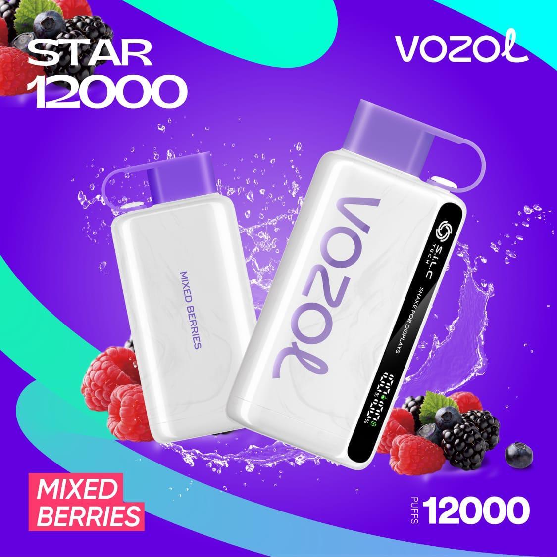 Vozol Star 12000 Puffs Disposable Vape in UAE