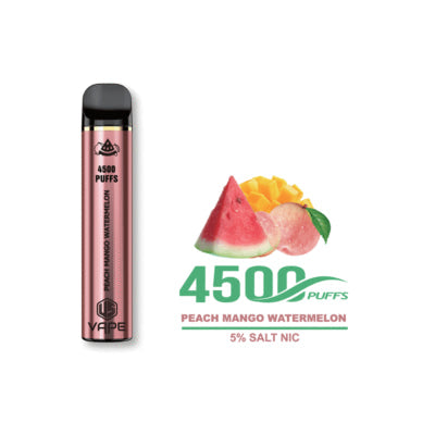 US 4500 Puffs Disposable Vape in UAE