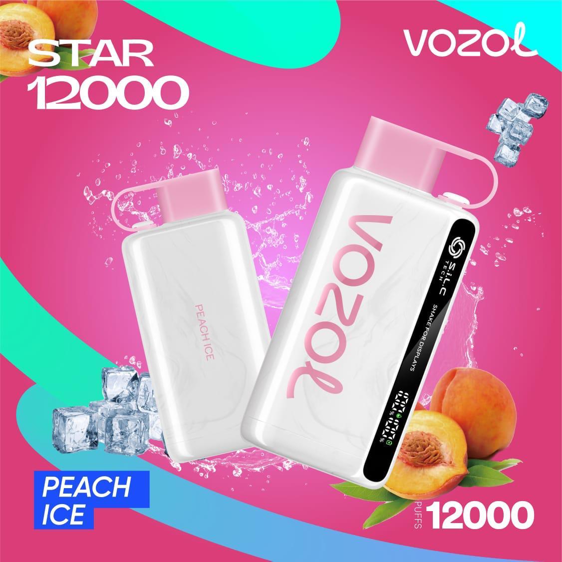 Vozol Star 12000 Puffs Disposable Vape in UAE