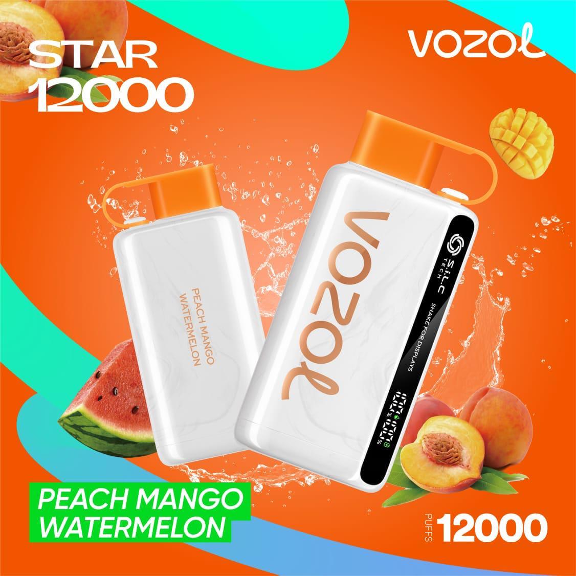 Vozol Star 12000 Puffs Disposable Vape in UAE