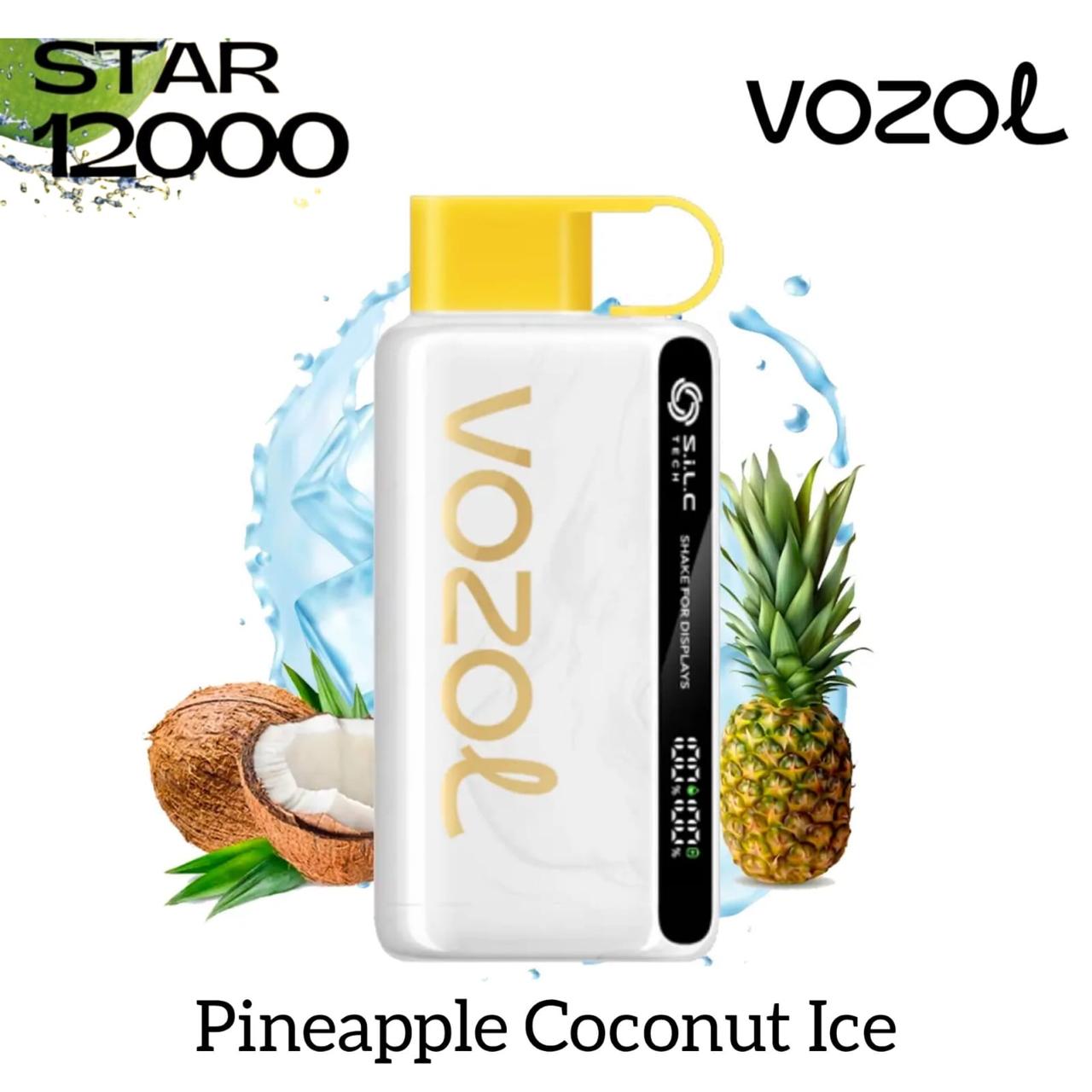 Vozol Star 12000 Puffs Disposable Vape in UAE