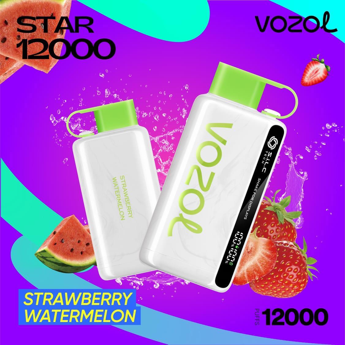 Vozol Star 12000 Puffs Disposable Vape in UAE