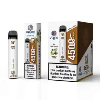 US 4500 Puffs Disposable Vape in UAE