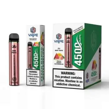 US 4500 Puffs Disposable Vape in UAE