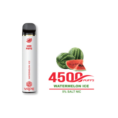 US 4500 Puffs Disposable Vape in UAE