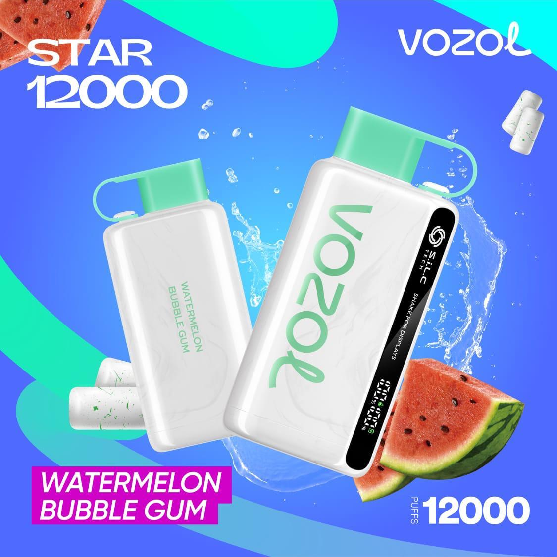 Vozol Star 12000 Puffs Disposable Vape in UAE