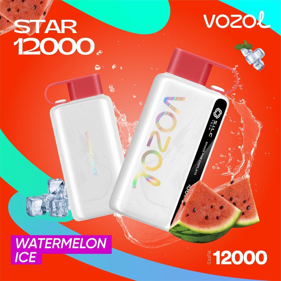 Vozol Star 12000 Puffs Disposable Vape in UAE