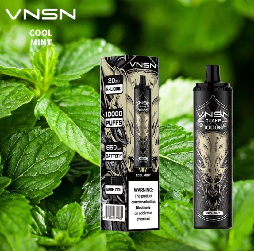 VNSN Disposable Vape 10000 Puffs best Price in uae