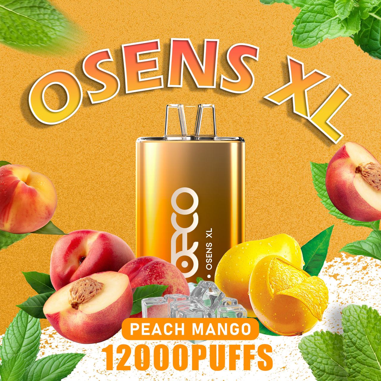 Beco Osens XL 12000 Puffs Disposable Vape in UAE