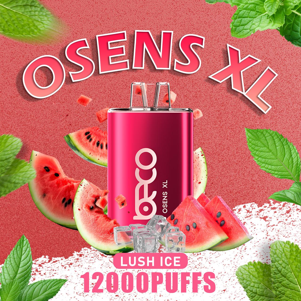 Beco Osens XL 12000 Puffs Disposable Vape in UAE