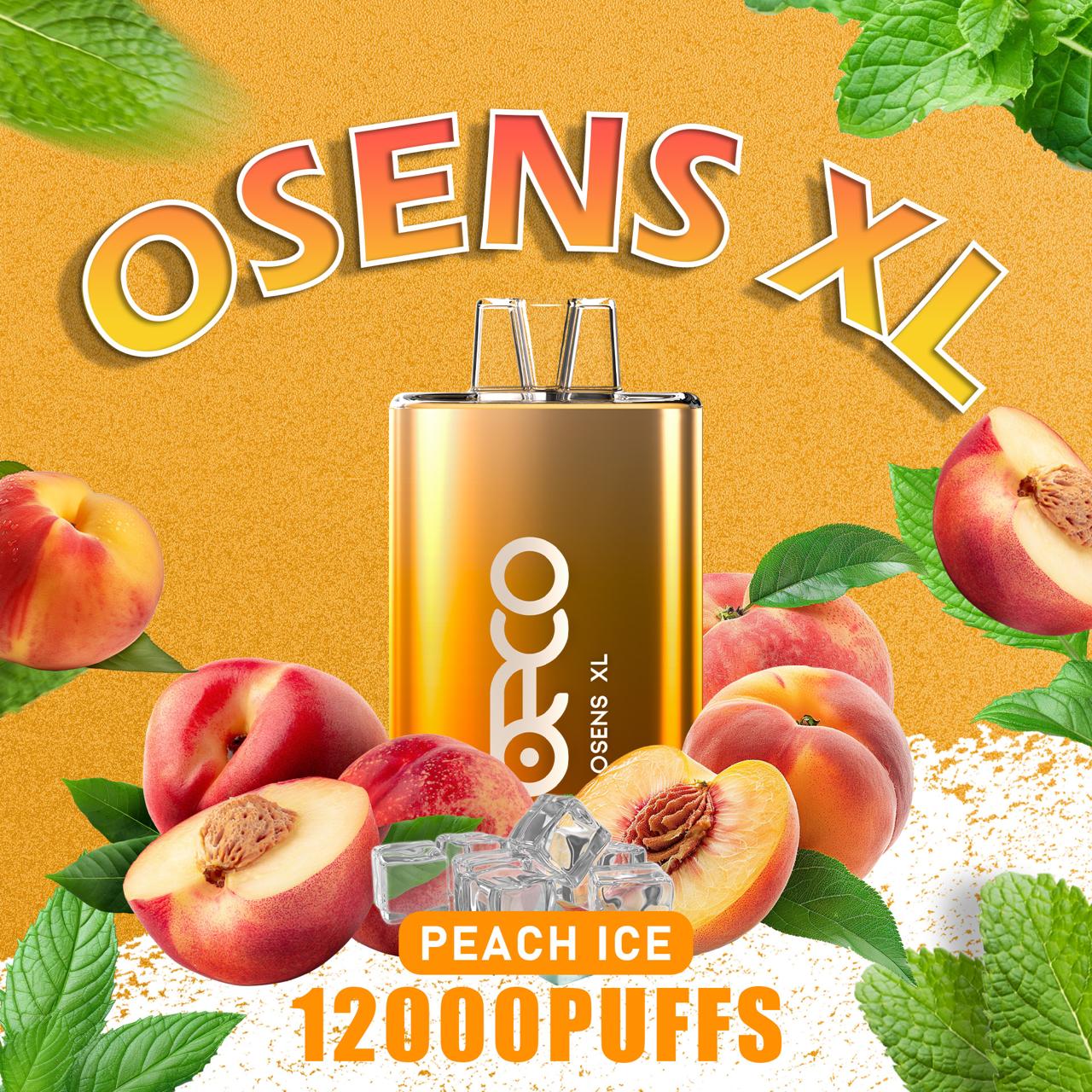 Beco Osens XL 12000 Puffs Disposable Vape in UAE