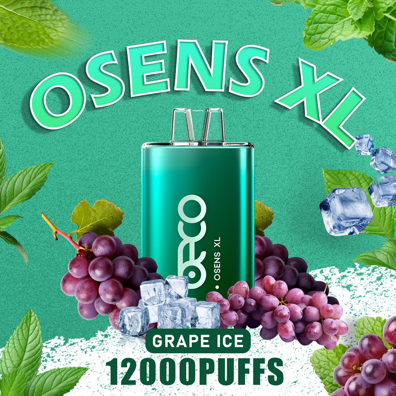 Beco Osens XL 12000 Puffs Disposable Vape in UAE